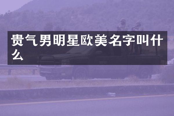 贵气男明星欧美名字叫什么