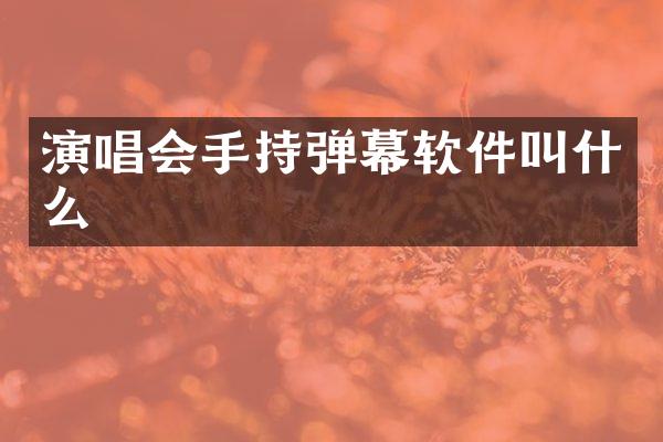 演唱会手持弹幕软件叫什么