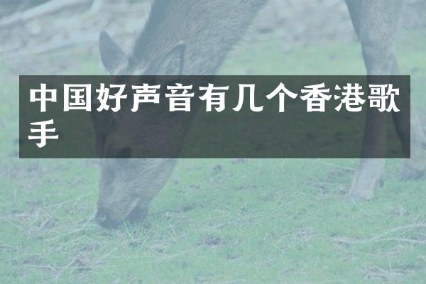 中国好声音有几个香港歌手