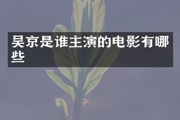 吴京是谁主演的电影有哪些