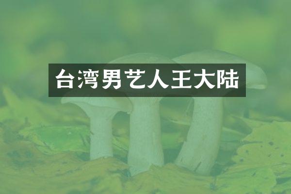 台湾男艺人王大陆