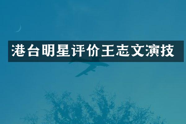 港台明星评价王志文演技