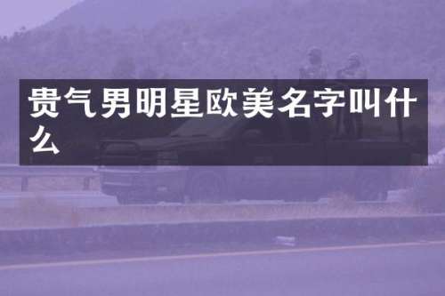贵气男明星欧美名字叫什么