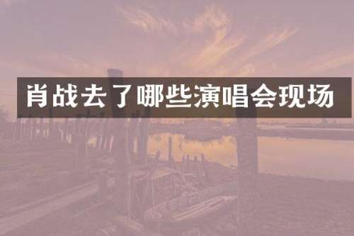 肖战去了哪些演唱会现场