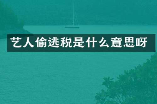 艺人偷逃税是什么意思呀