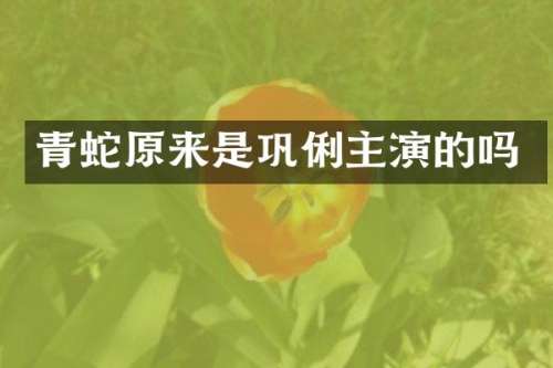 青蛇原来是巩俐主演的吗