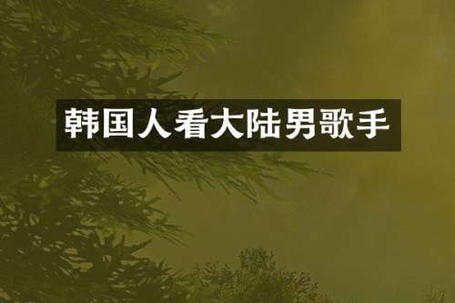 韩国人看大陆男歌手