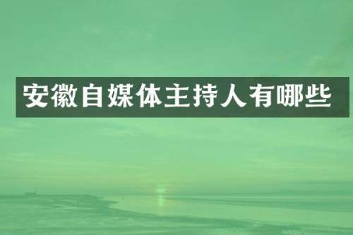 安徽自媒体主持人有哪些