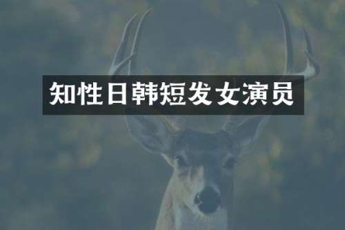 知性日韩短发女演员