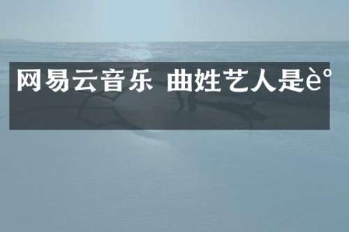 网易云音乐 曲姓艺人是谁