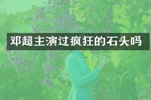 邓超主演过疯狂的石头吗