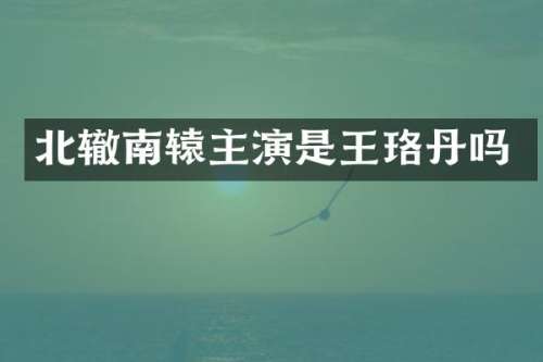 北辙南辕主演是王珞丹吗