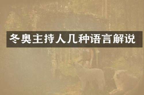 冬奥主持人几种语言解说