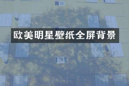 欧美明星壁纸全屏背景