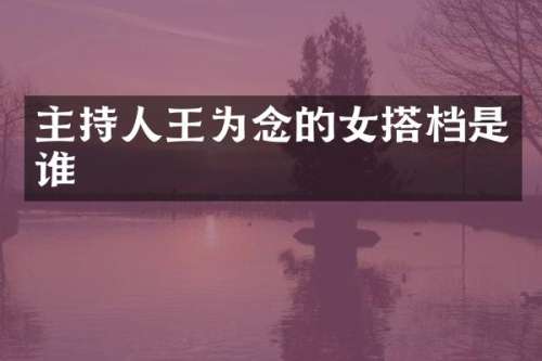 主持人王为念的女搭档是谁