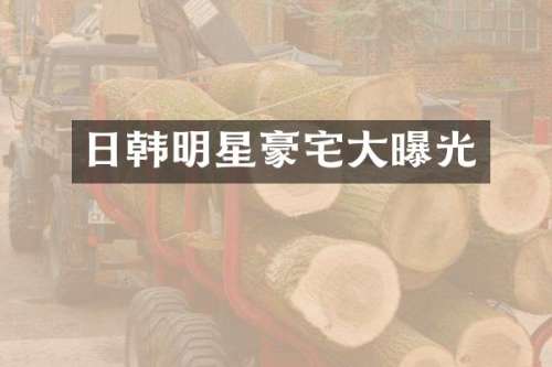 日韩明星豪宅大曝光