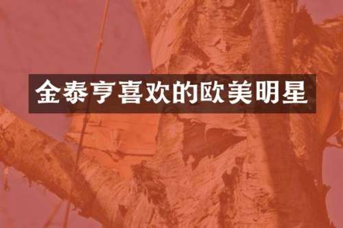 金泰亨喜欢的欧美明星