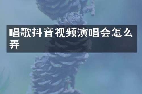 唱歌抖音视频演唱会怎么弄