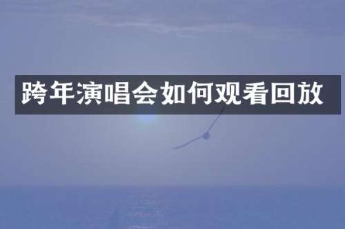 跨年演唱会如何观看回放