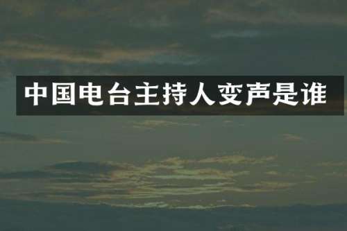 中国电台主持人变声是谁