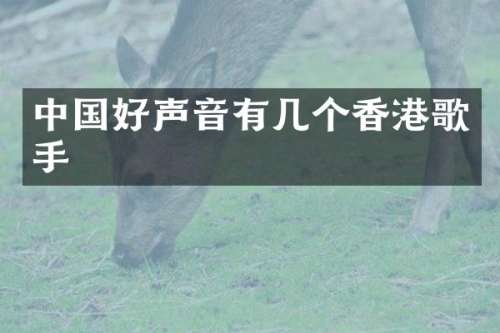 中国好声音有几个香港歌手