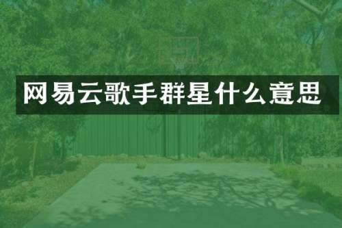 网易云歌手群星什么意思