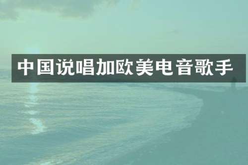 中国说唱加欧美电音歌手