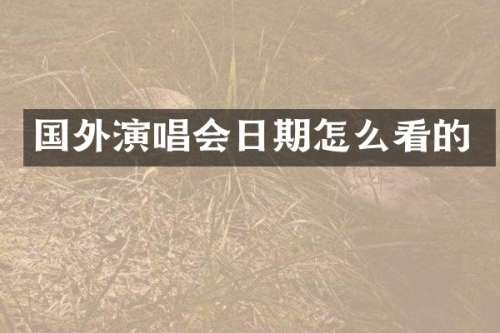 国外演唱会日期怎么看的