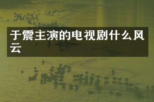 于震主演的电视剧什么风云