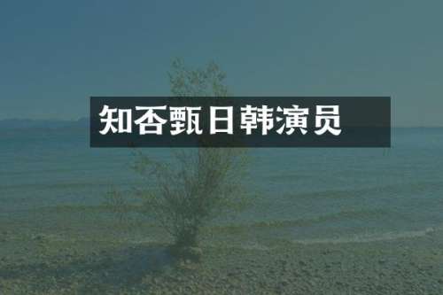 知否甄嬛日韩演员