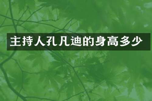 主持人孔凡迪的身高多少