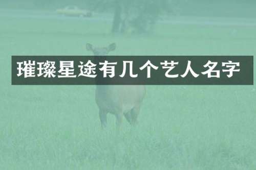 璀璨星途有几个艺人名字