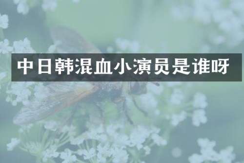 中日韩混血小演员是谁呀