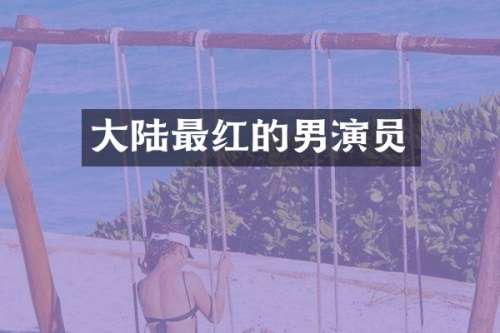 大陆最红的男演员