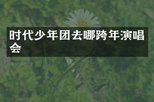 时代少年团去哪跨年演唱会