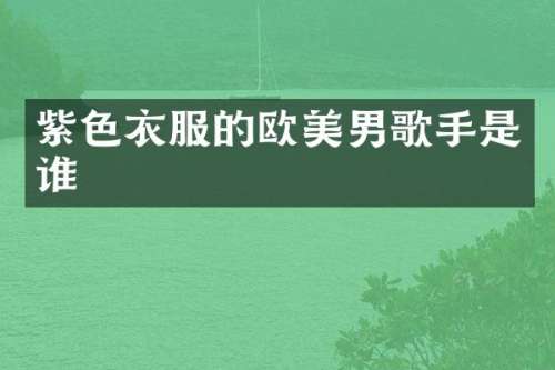 紫色衣服的欧美男歌手是谁