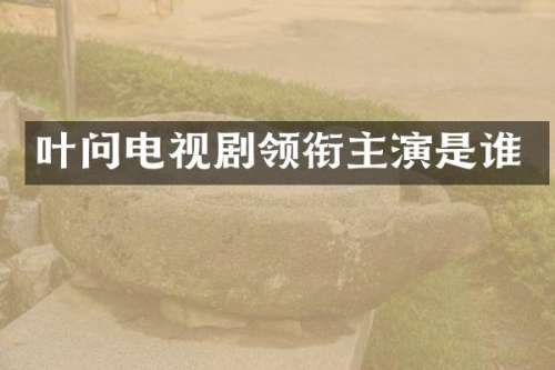 叶问电视剧领衔主演是谁
