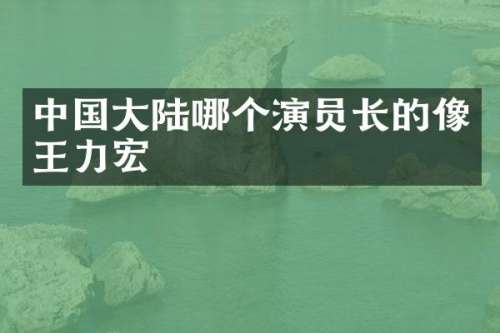 中国大陆哪个演员长的像王力宏