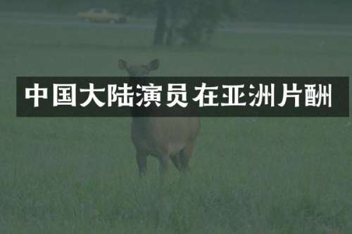 中国大陆演员在亚洲片酬