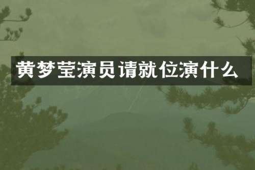 黄梦莹演员请就位演什么
