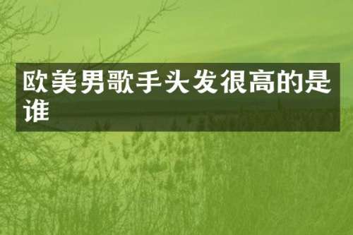 欧美男歌手头发很高的是谁