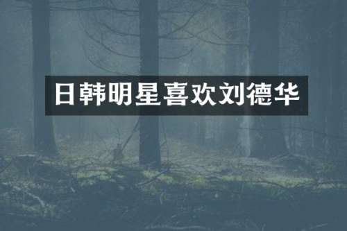 日韩明星喜欢刘德华