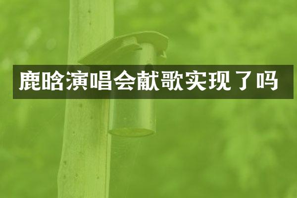 鹿晗演唱会献歌实现了吗