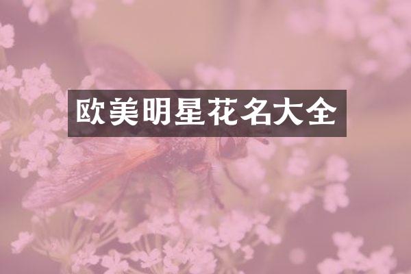 欧美明星花名大全