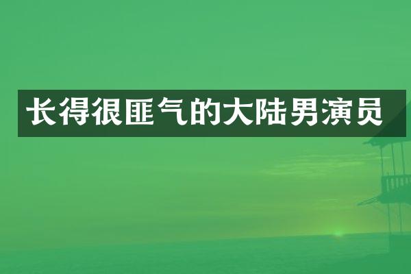 长得很匪气的大陆男演员