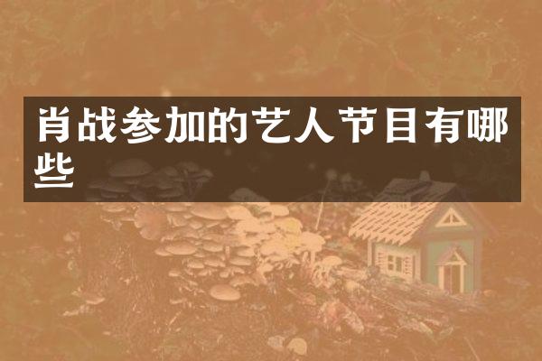 肖战参加的艺人节目有哪些