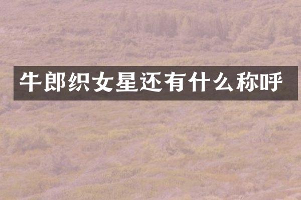 牛郎织女星还有什么称呼