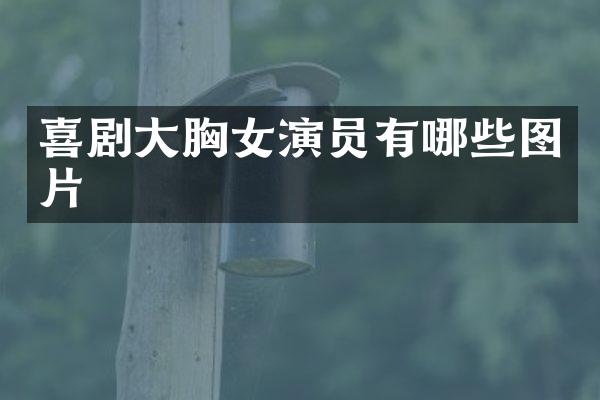 喜剧大女演员有哪些图片