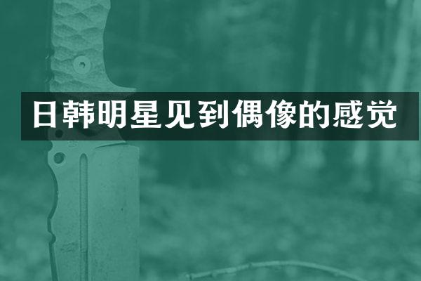 日韩明星见到偶像的感觉