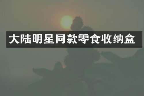 大陆明星同款零食收纳盒